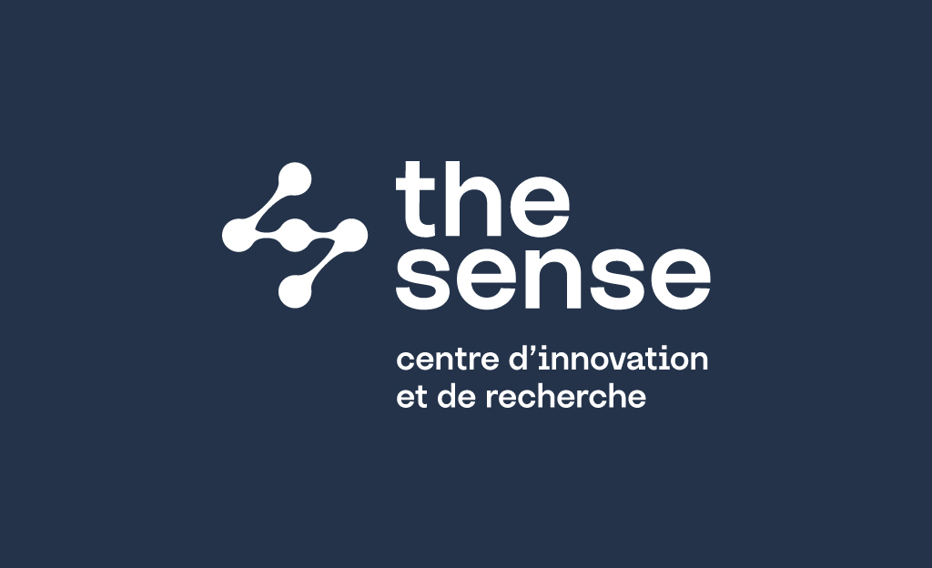 Le rôle de la vision dans la représentation perceptive de l’espace